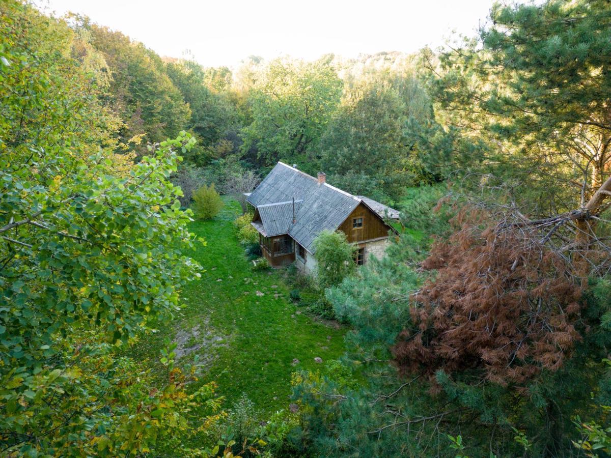 Agroturystyka Siedlisko Wydry - Dom W Srodku Lasu Wierzchoniow Esterno foto