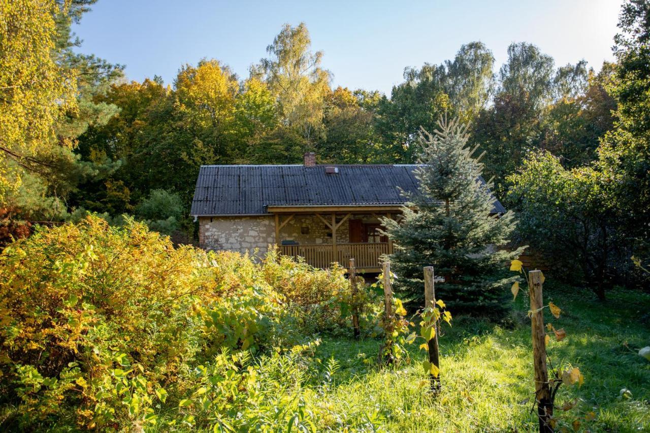 Agroturystyka Siedlisko Wydry - Dom W Srodku Lasu Wierzchoniow Esterno foto